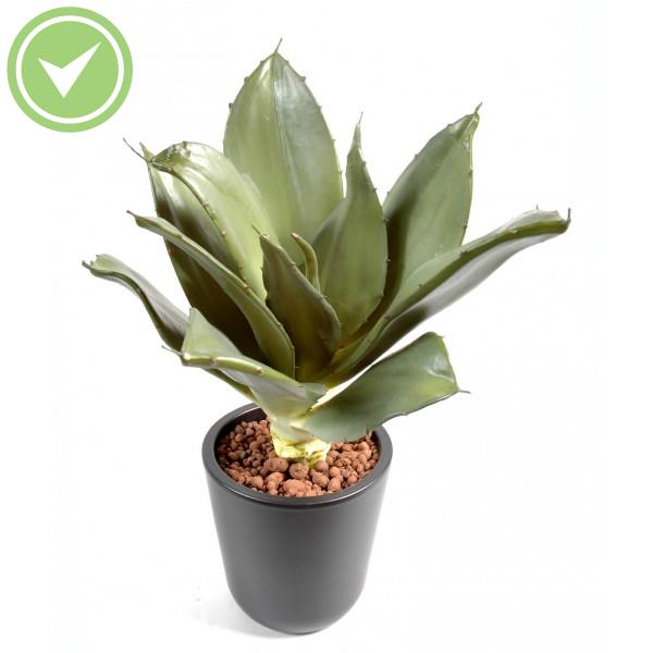 Agave Cactée artificielle