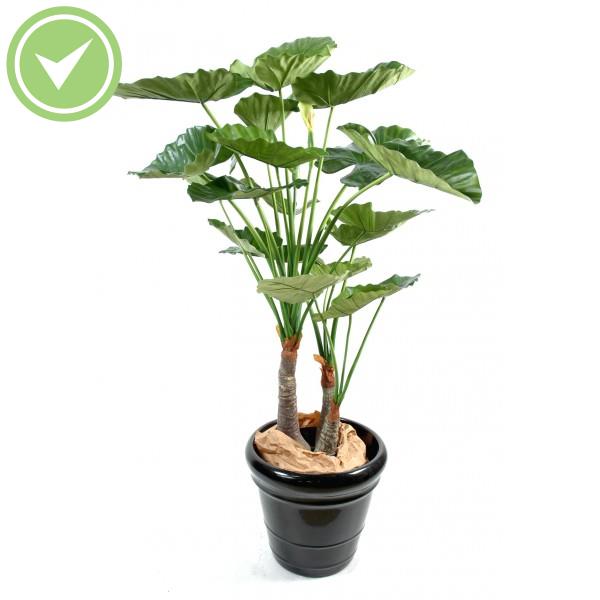 Alocasia Calidora 3 Troncs Arbre artificiel