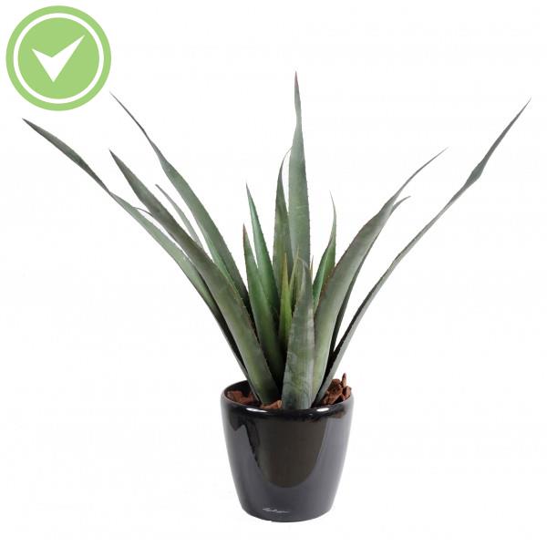 Aloe Ferox Plast Plante artificielle