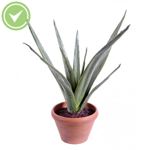 Aloe*12 Pot Terre Cactée artificielle