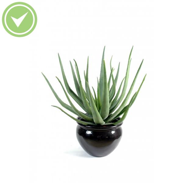 Aloevera Cactée artificielle