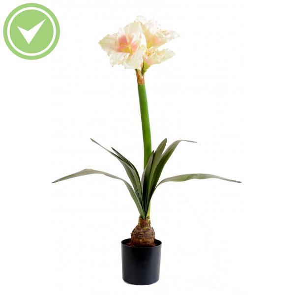 Amaryllis Bulbe En Pot 3Fl 1Bt Plante artificielle fleurie