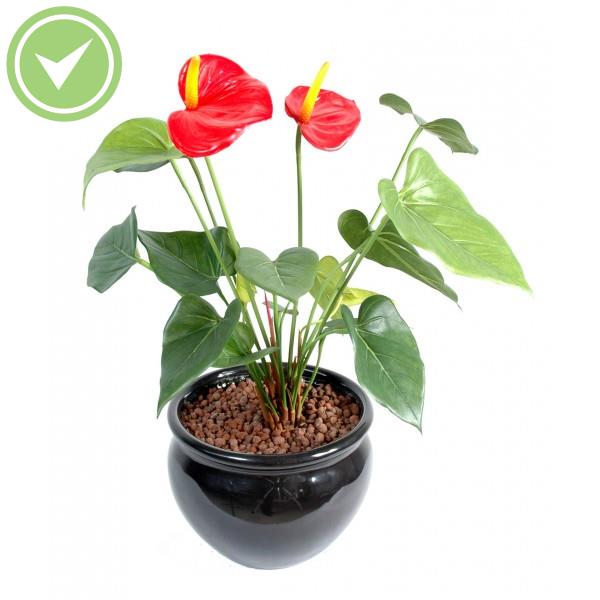 Anthurium 2Fl Plante verte artificielle