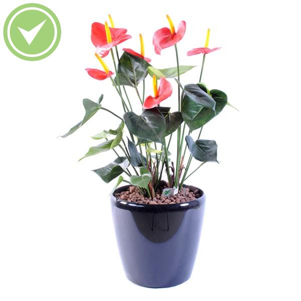 Anthurium*7 Plante verte artificielle