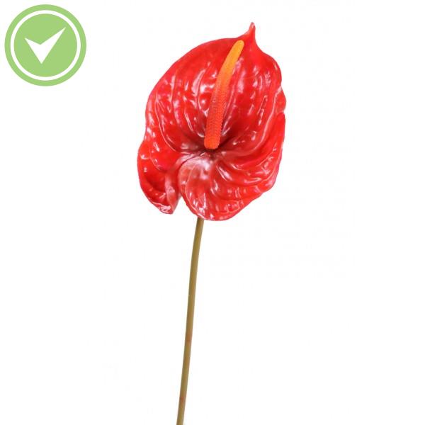 Anthurium Tige Grand Fleur artificielle en tige