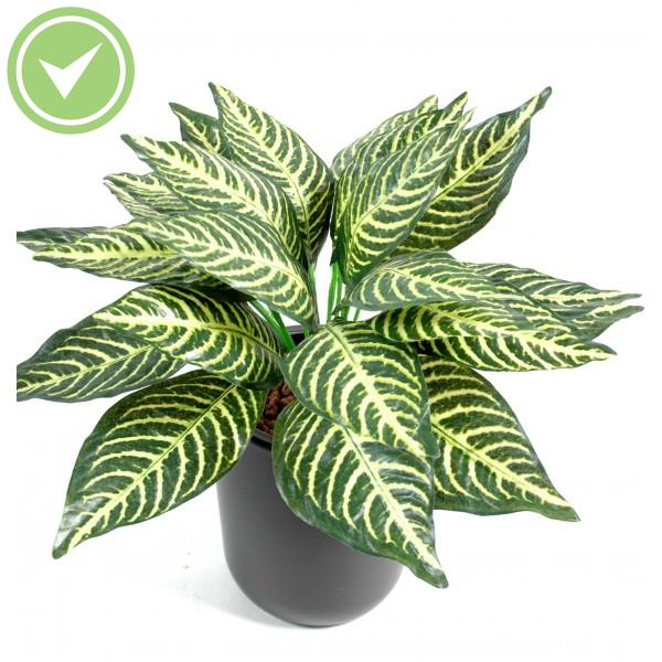 Aphelandra Mini*24 Plante verte artificielle
