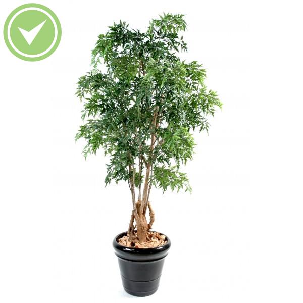 Aralia Ming Nitida Tr Noueux Arbre artificiel