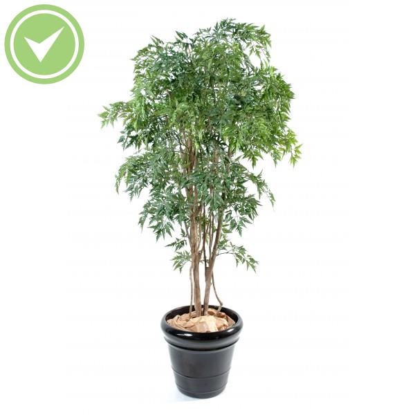 Aralia Ming Nitida Arbre artificiel