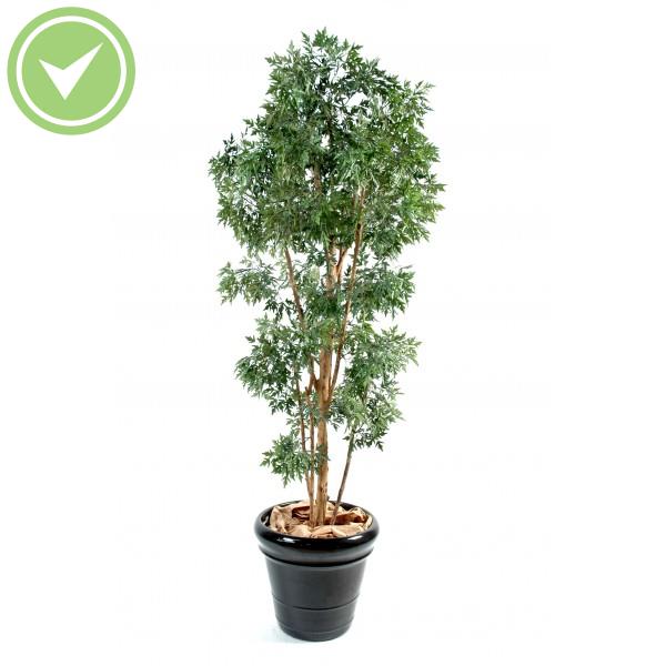 Aralia Ming Arbre artificiel