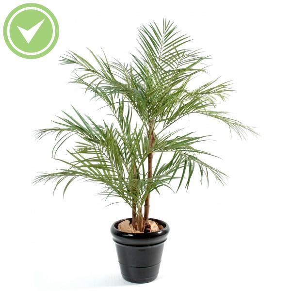 Areca Palm*3 Palmier artificiel