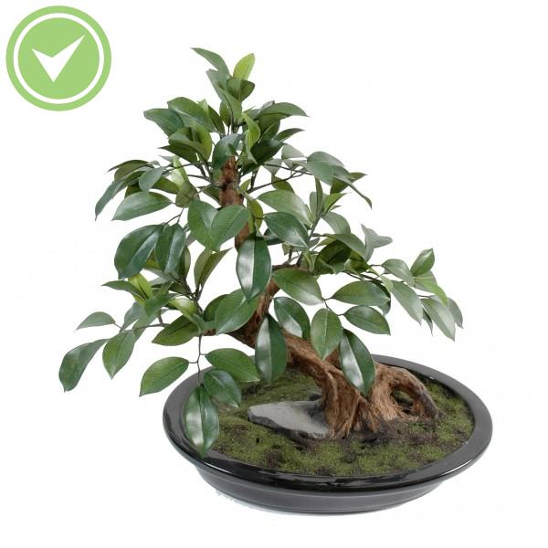 Bonsai Ficus En Coupe Bonsai artificiel