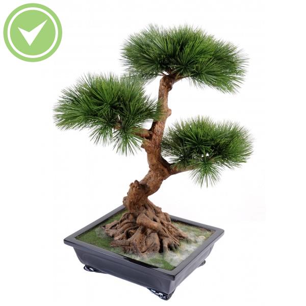 Bonsai Pin En Coupe Bonsai artificiel