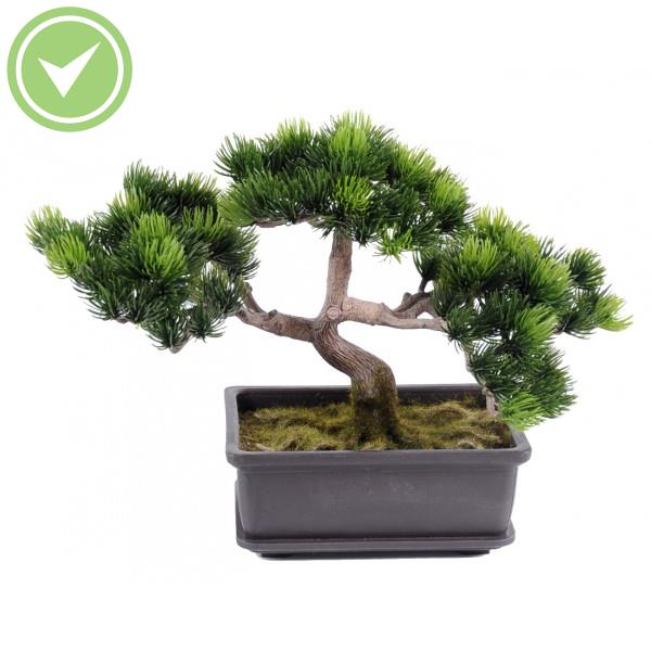 Bonsai Pin Mini  22 Cm Végétal artificiel