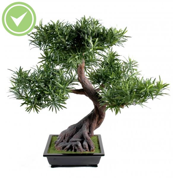 Bonsai Podocarpus En Coupe Bonsai artificiel