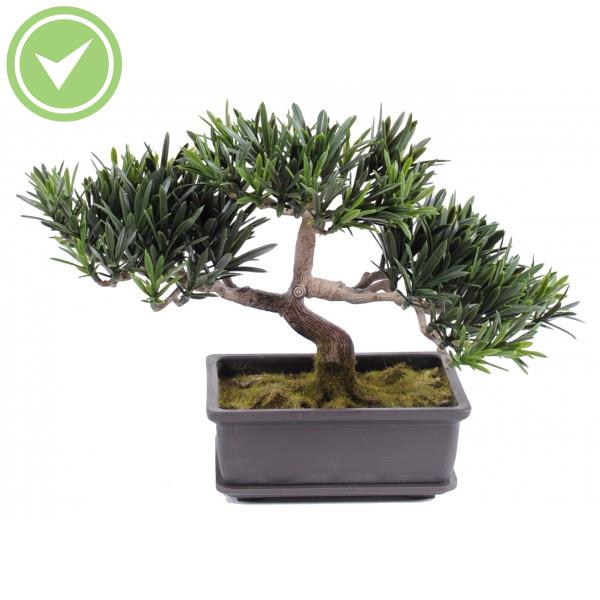 Bonsai Podocarpus Mini  22 Cm Végétal artificiel