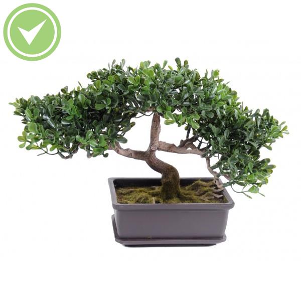 Bonsai Thé Mini  22 Cm Végétal artificiel