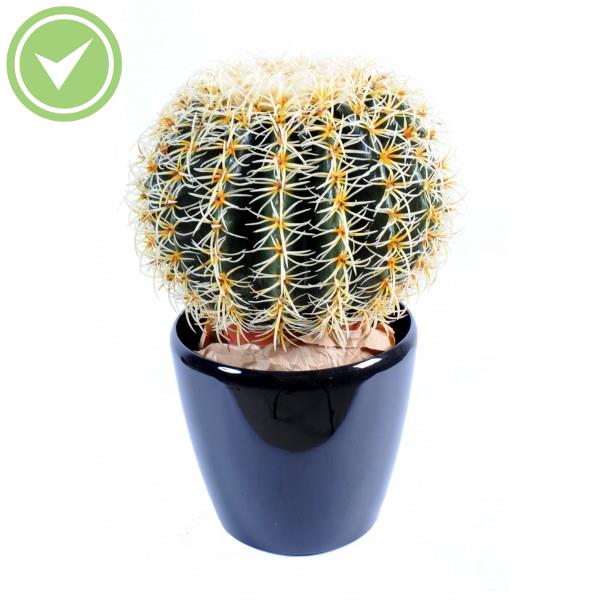 Cactus Rond Cactée artificielle