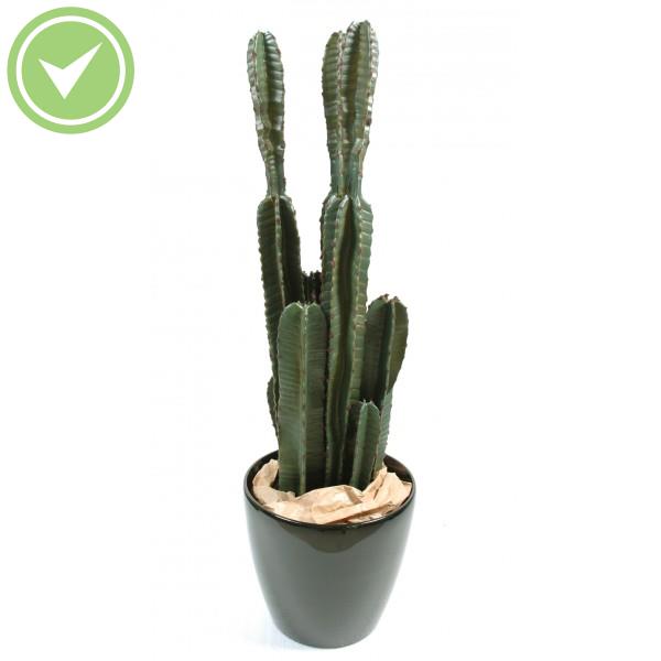Cactus*9 Cactée artificielle