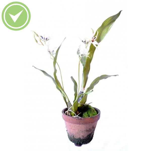 Cambria Orchidee Pot Terre Plante artificielle en pot