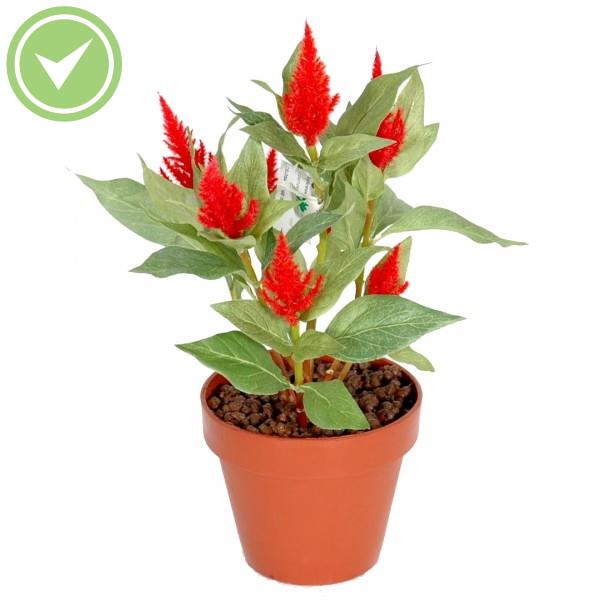 Celosia Plante verte artificielle