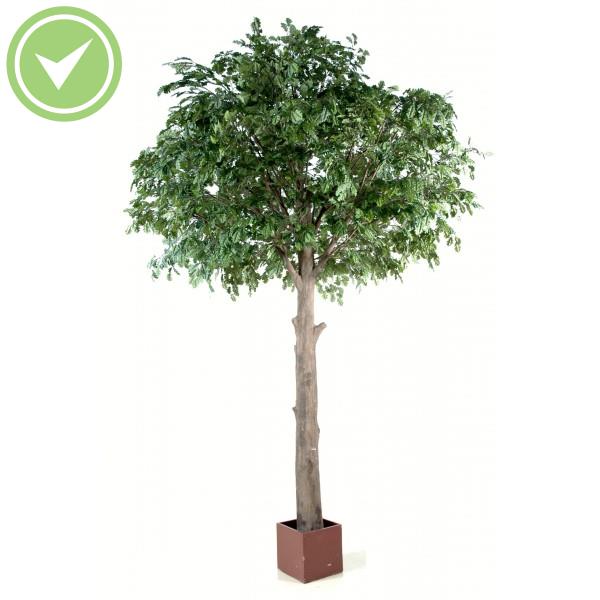 Chene Tete Platine Arbre artificiel