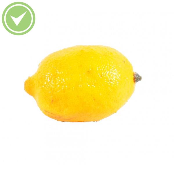 Citron Fruit artificiel