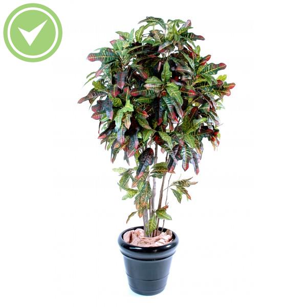 Croton Arbre artificiel