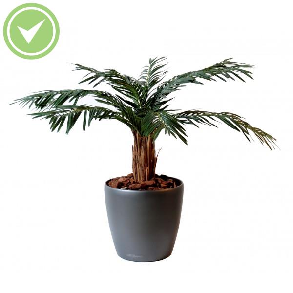 Cycas Palm Palmier artificiel