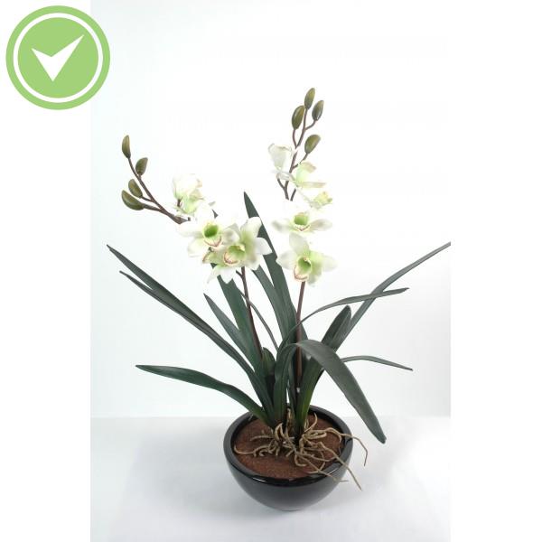 Cymbidium 10Fls 8Bts Pot D22 Plante artificielle fleurie