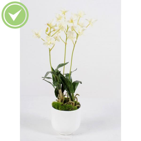 Dendrobium Pot Bouquet artificiel