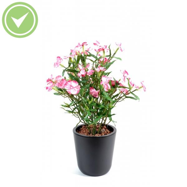 Dianthus Plante artificielle fleurie