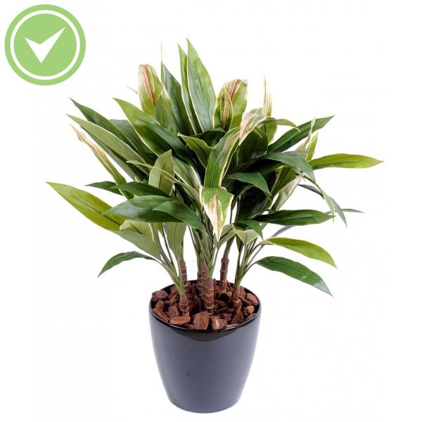 Dracaena Cordyline Touffe Végétal artificiel