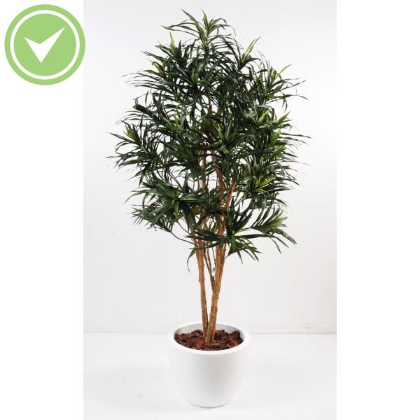 Dracena Anita En Pot Pure Rond Composition artificielle