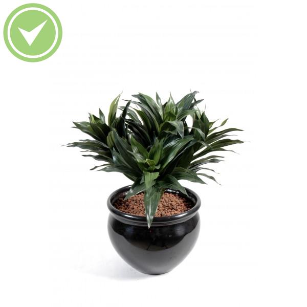 Dracena Fragans Plante verte artificielle