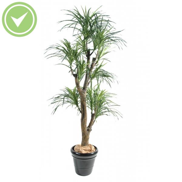 Dracena Large Arbre artificiel