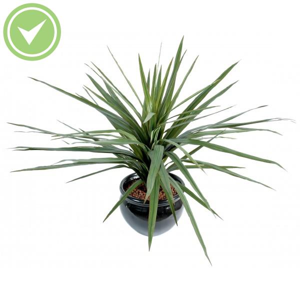 Dracena Marginata 58F Plante verte artificielle