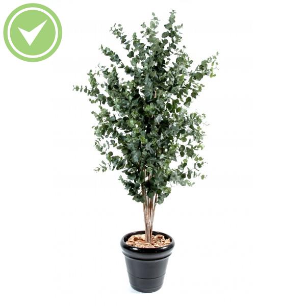 Eucalyptus Buisson Arbre artificiel