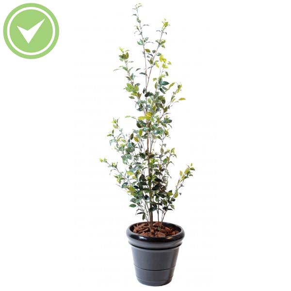 Ficus Buisson Plast Ficus artificiel