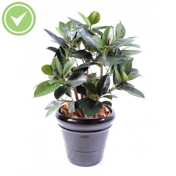 Ficus Elastica Buisson Ficus artificiel