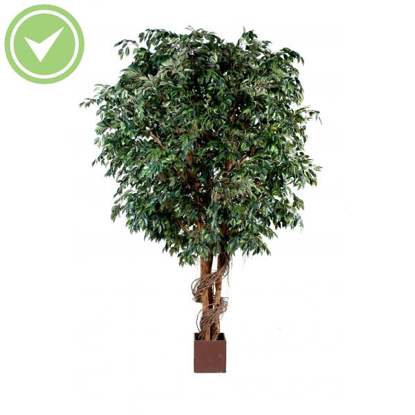 Ficus Geant Ficus artificiel