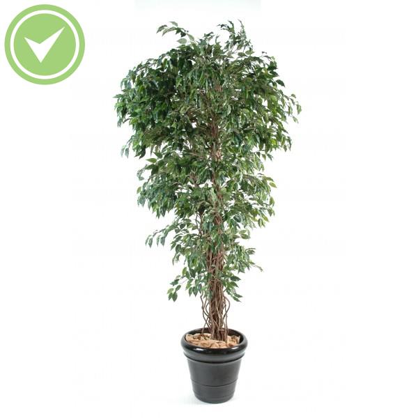 Ficus Lianes Pf Ficus artificiel