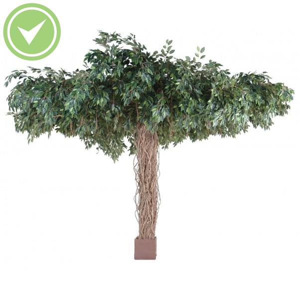 Ficus Lianes Umbrella Ficus artificiel