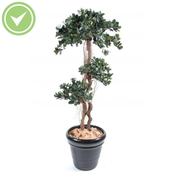 Ficus Panda Ficus artificiel