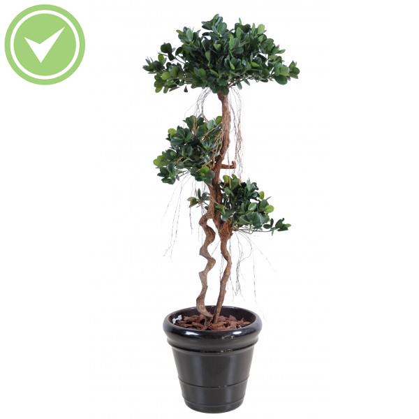 Ficus Panda New Arbre artificiel