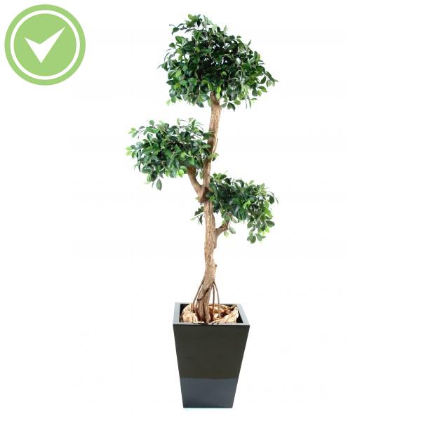 Ficus Retusa Crazy Ficus artificiel