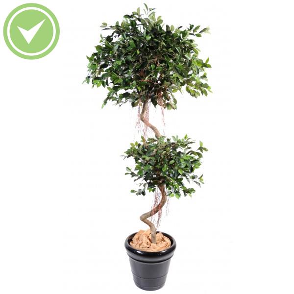 Ficus Spirale 2 Boules Ficus artificiel