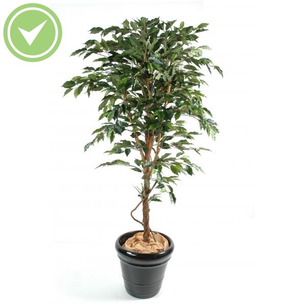 Ficus Tronc Simple Gf Ficus artificiel