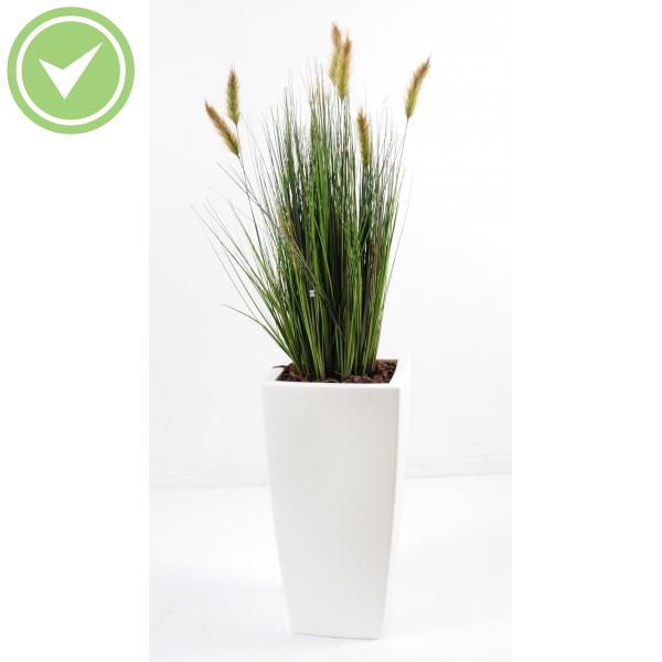 Foxtail En Pot Pure Haut Composition artificielle