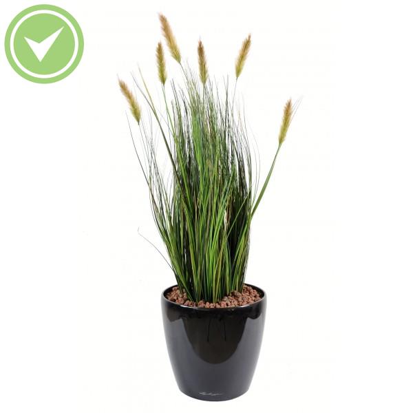 Foxtail Herbe artificielle