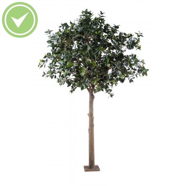 Fruitier Platine Arbre artificiel